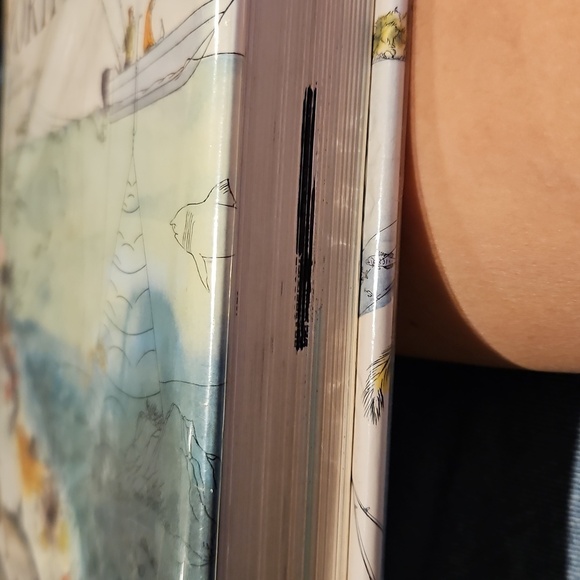 Gorgeous 1970s Coffee Table Book with Illustrations - Picture 13 of 13